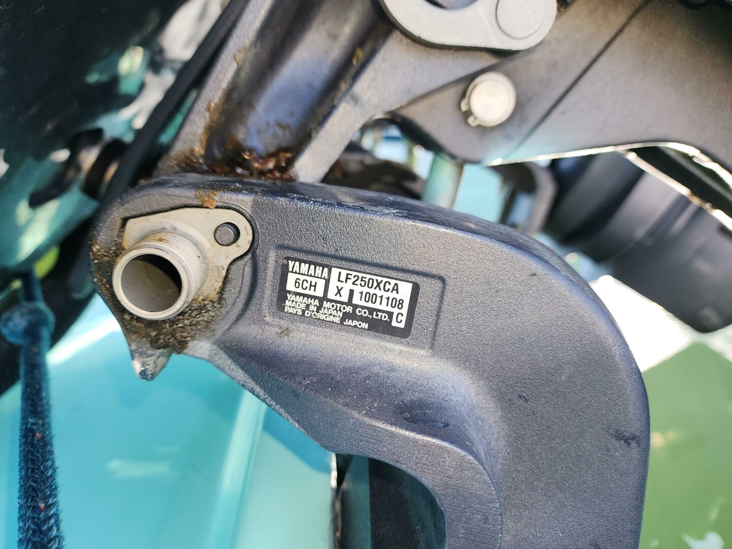 Slide: The Image of Calyber 27 CC 2004 - 4819919