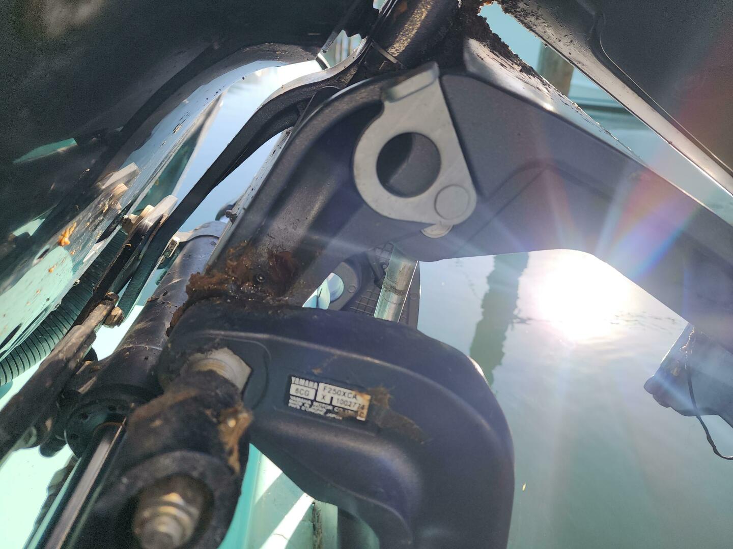 Slide: The Image of Calyber 27 CC 2004 - 4819921