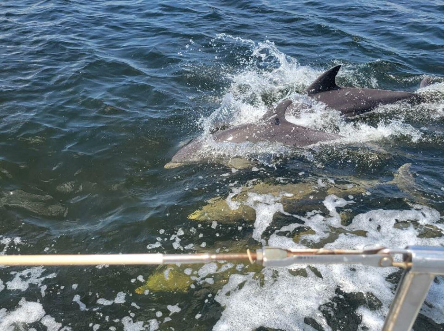 Slide: The Image of Cape Dory 30 1989 - 5386325