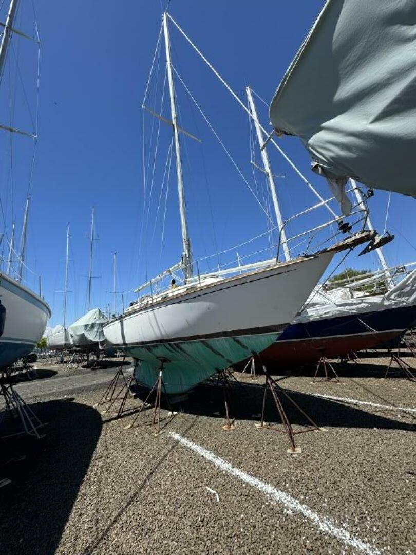 Slide: The Image of Cape Dory 31 1984 - 5317952