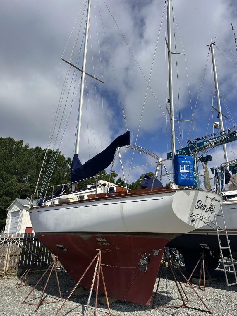 Slide: The Image of Cape Dory 31 1984 - 5492466