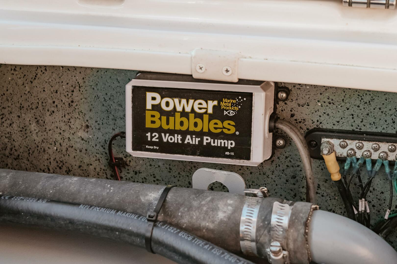 Slide: The Image of Carolina 162CC 2022 - 3953093