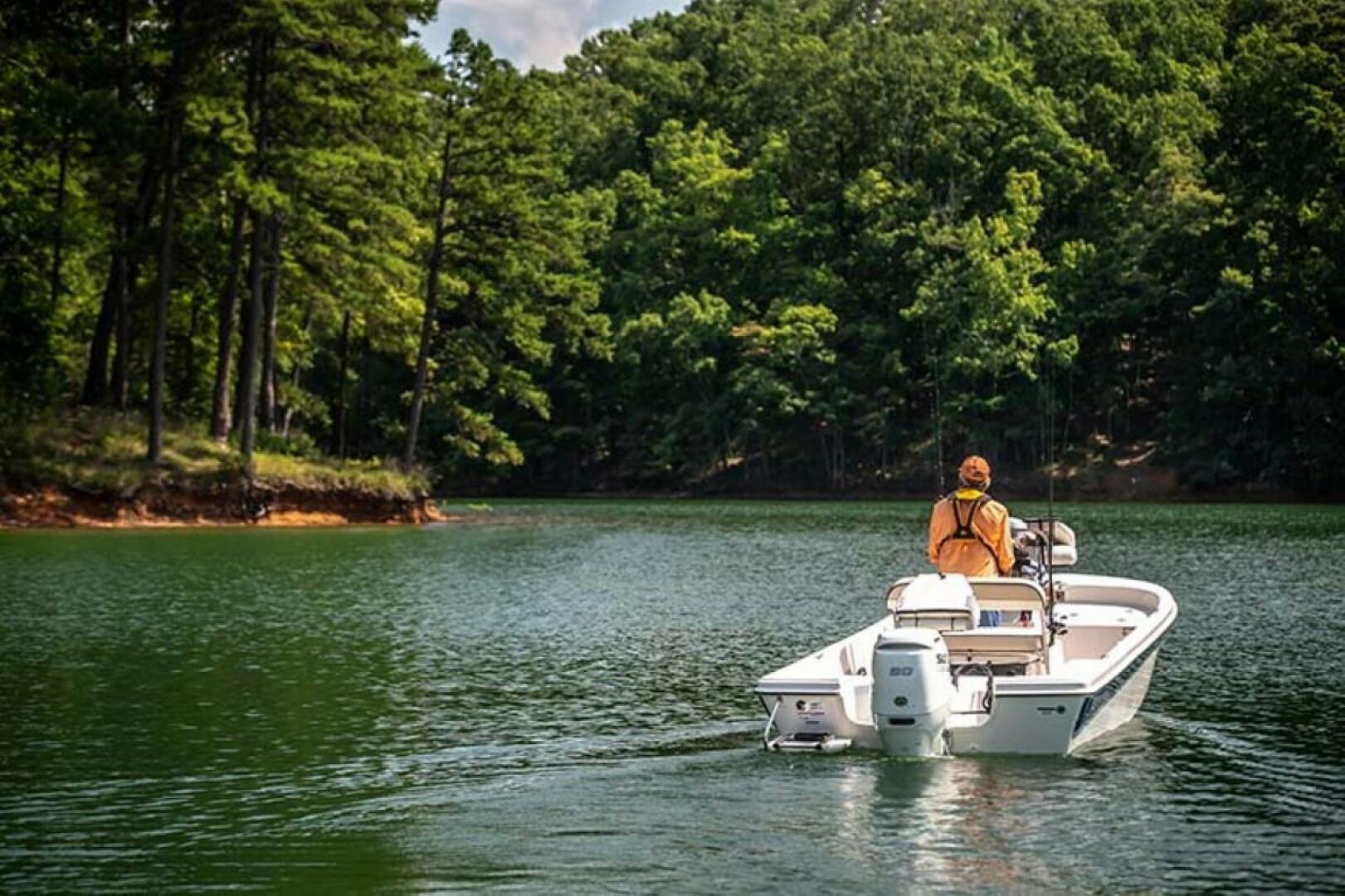 Slide: The Image of Carolina 192 JLS 2024 - 4349634