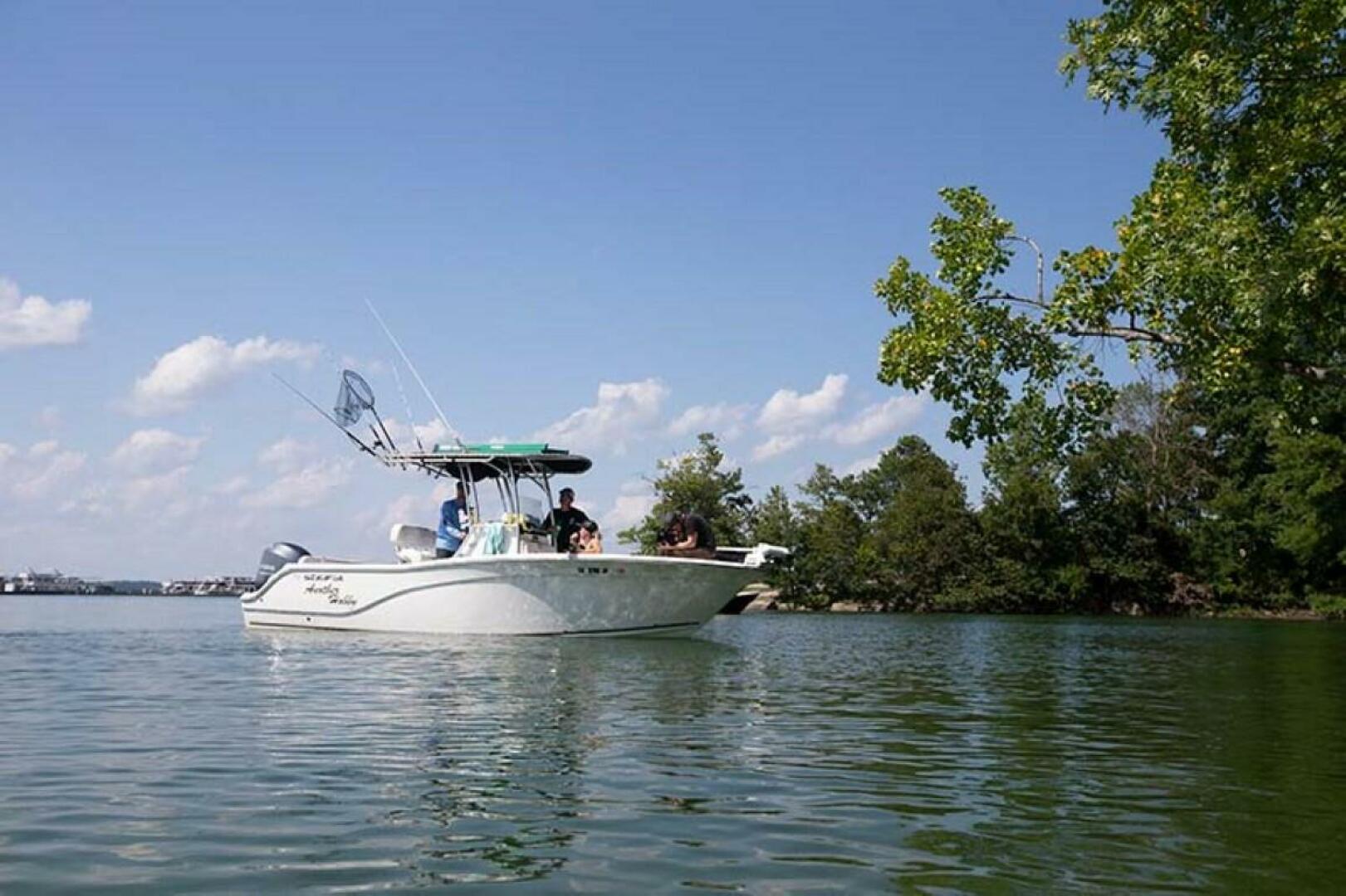 Slide: The Image of Carolina 192 JLS 2024 - 4349635