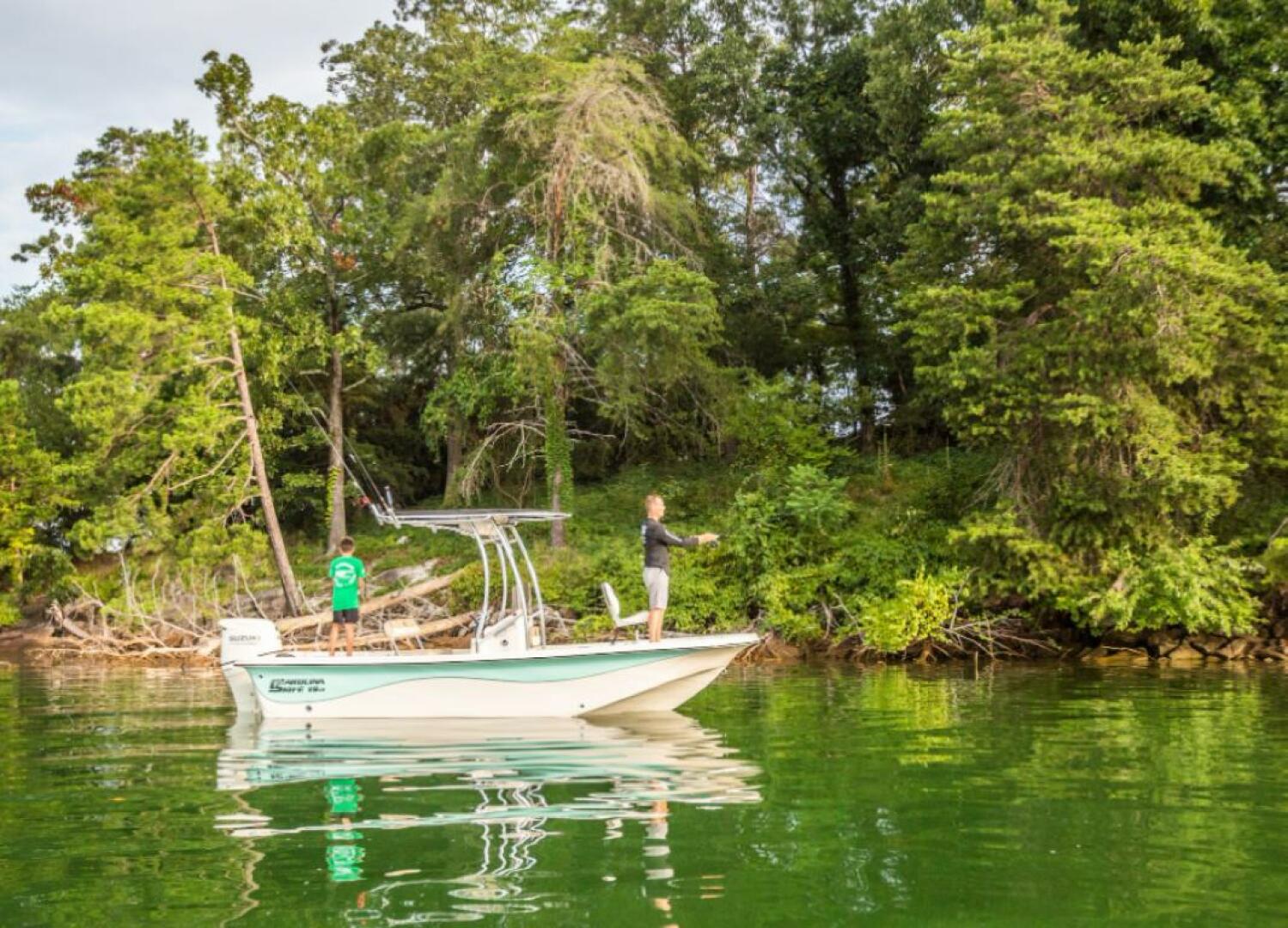 Slide: The Image of Carolina 19 LS 2025 - 4341283