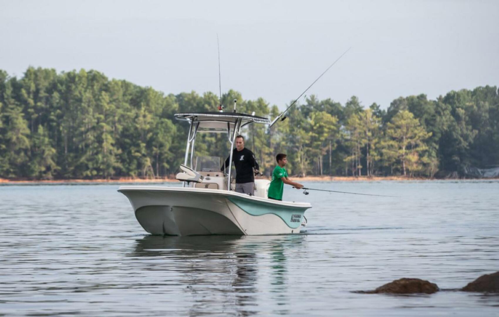 Slide: The Image of Carolina 19 LS 2025 - 4341288