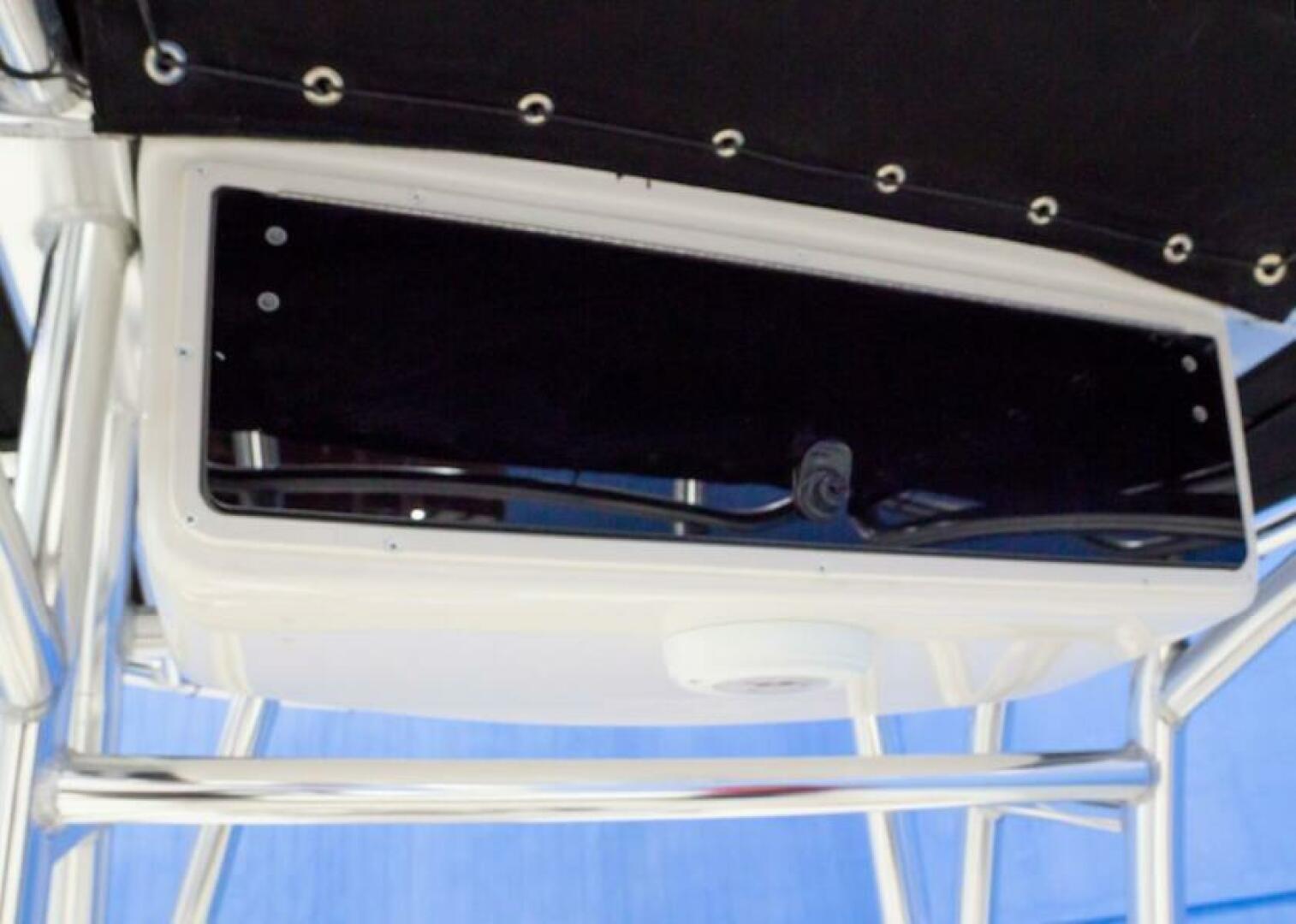 Slide: The Image of Carolina 19 LS 2025 - 5175715