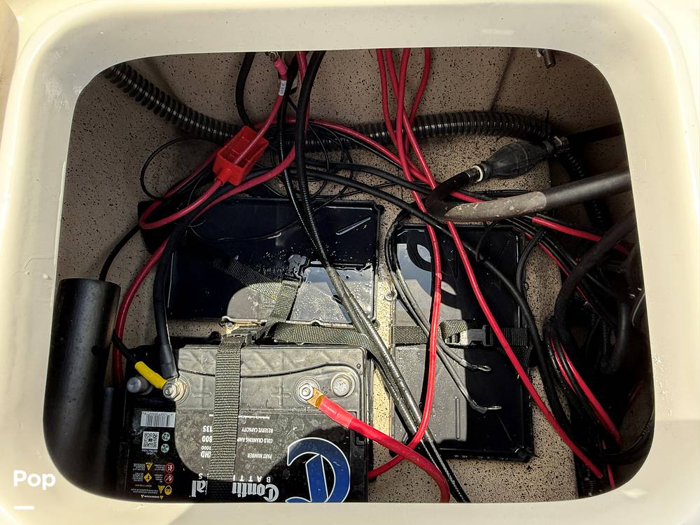 Slide: The Image of Carolina 21 Ultra Elite 2024 - 15387136