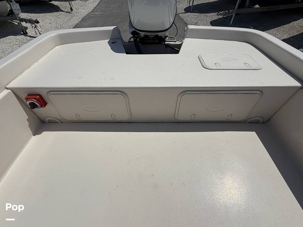 Slide: The Image of Carolina E21 DLX 2024 - 15395203