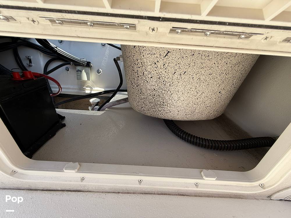 Slide: The Image of Carolina E21 DLX 2024 - 15395205