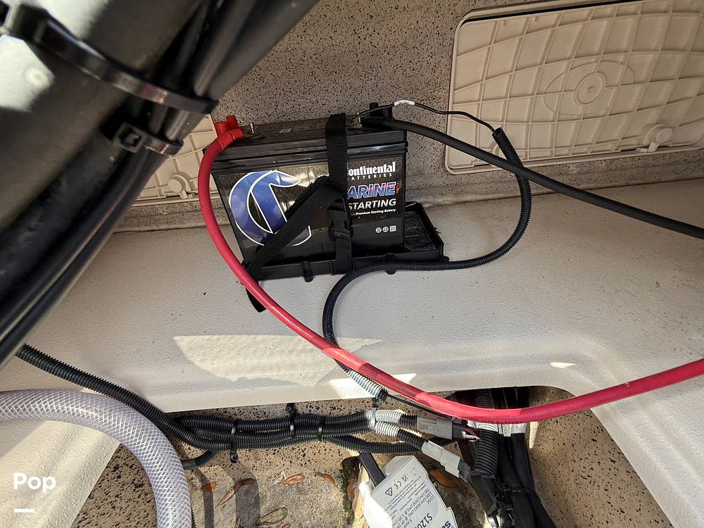 Slide: The Image of Carolina E21 DLX 2024 - 15395207