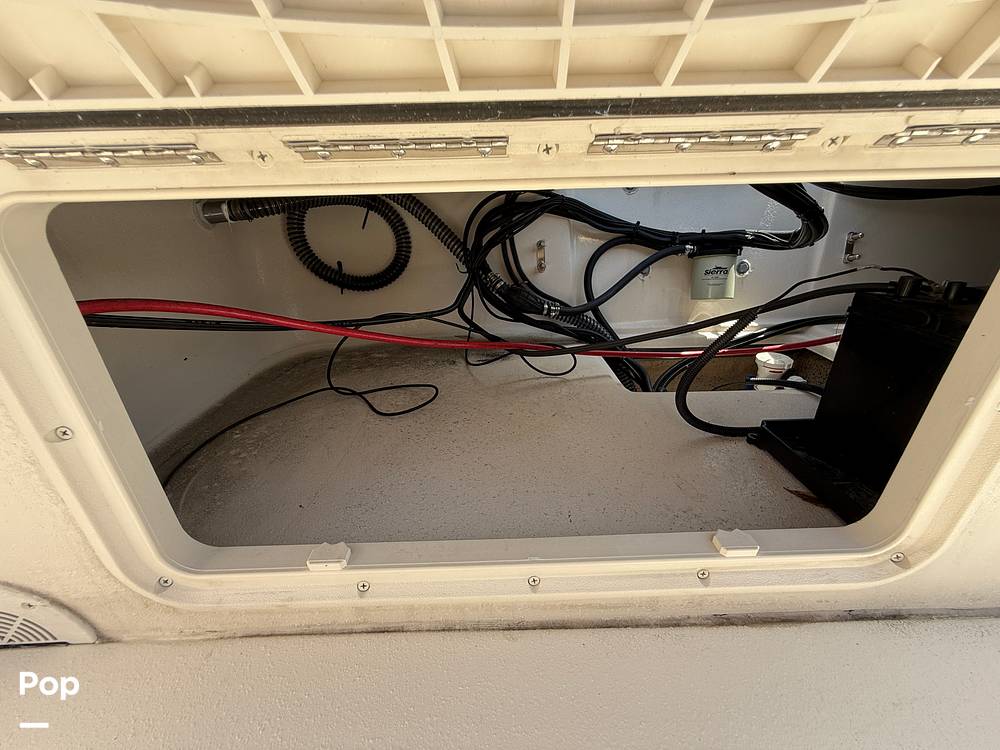 Slide: The Image of Carolina E21 DLX 2024 - 15395209