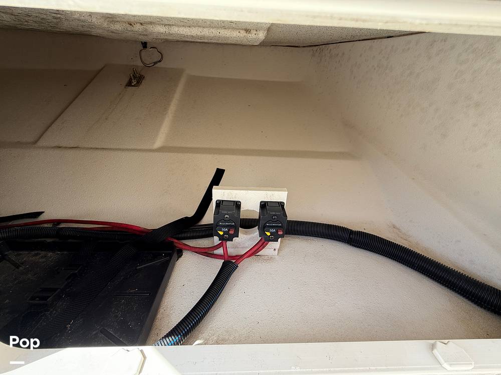 Slide: The Image of Carolina E21 DLX 2024 - 15395224