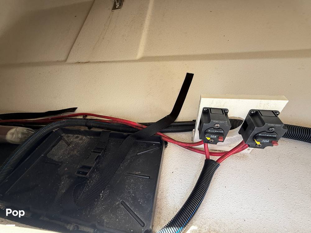 Slide: The Image of Carolina E21 DLX 2024 - 15395225