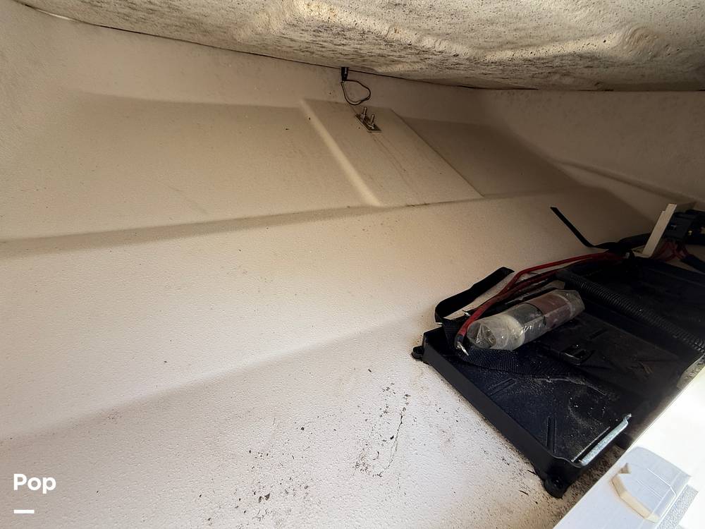 Slide: The Image of Carolina E21 DLX 2024 - 15395227