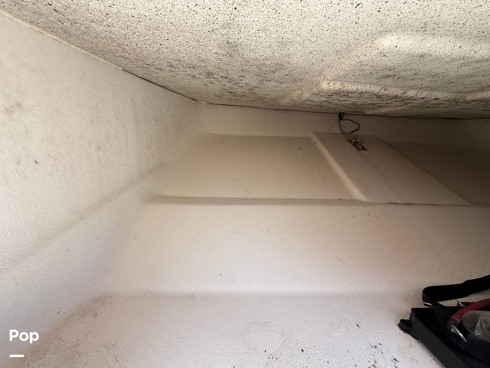 Slide: The Image of Carolina E21 DLX 2024 - 15395228