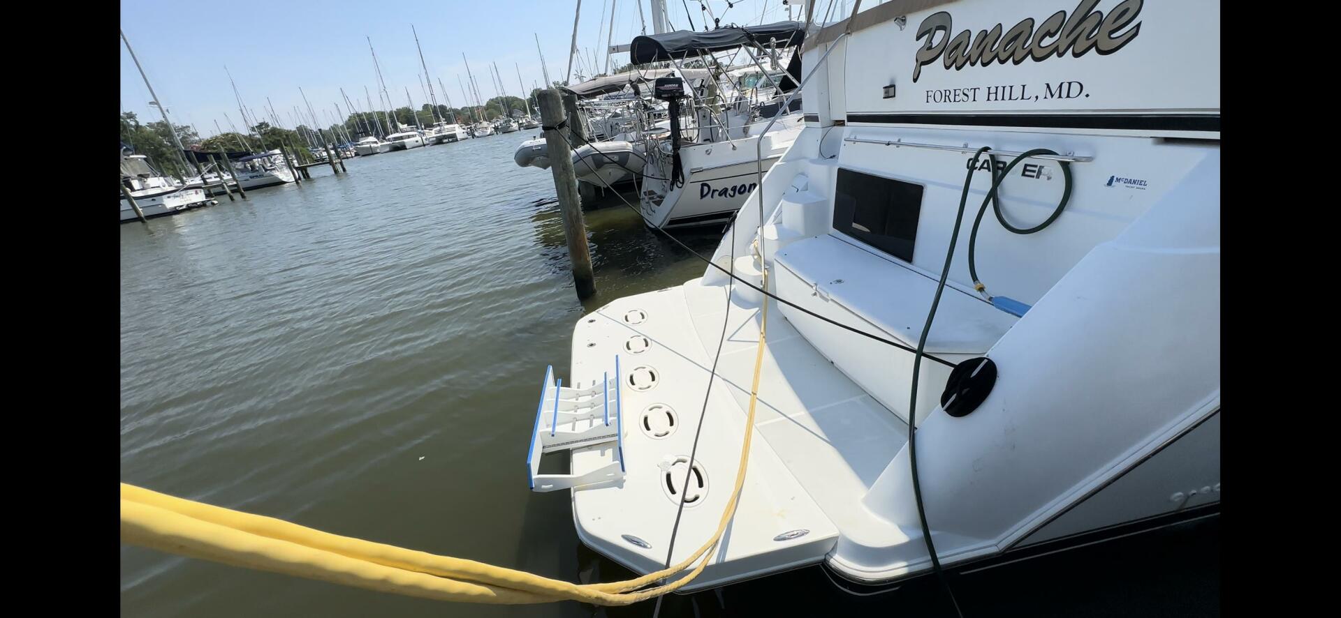 Slide: The Image of 3' custom swim platform & davit - 4551808