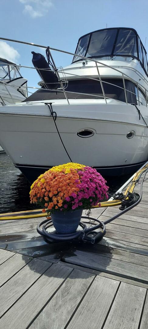 Slide: The Image of Carver 360 Sport Sedan 2003 - 5173600