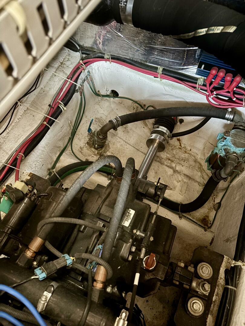 Slide: The Image of Carver 39 2000 - 5557609