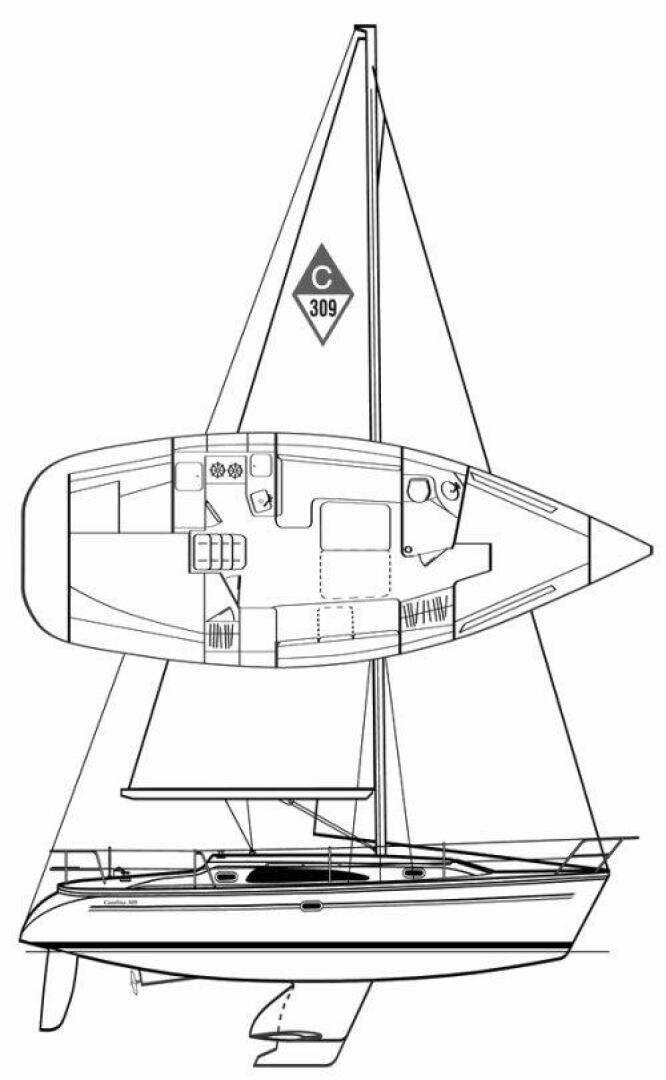 Slide: The Image of Catalina 309 2007 - 5527084