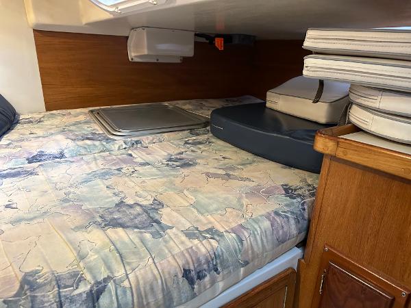 Slide: The Image of Cozy cabin interior of 2000 Catalina 34 MkII sailboat with patterned bedding and storage. - 16