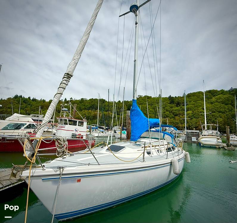 Slide: The Image of Catalina 36 1989 - 15683669