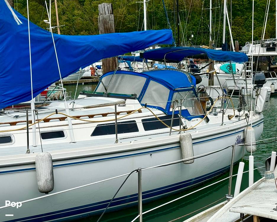 Slide: The Image of Catalina 36 1989 - 15683769