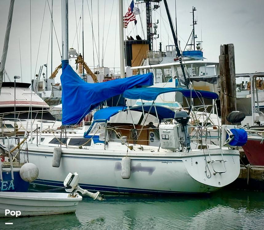 Slide: The Image of Catalina 36 1989 - 15683770