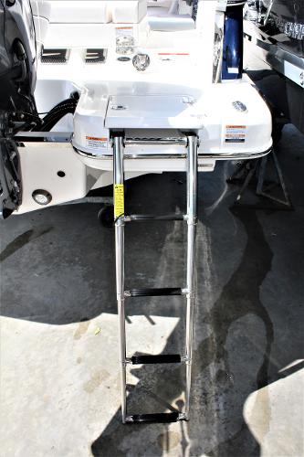 Slide: The Image of Chaparral 257 SSX 2020 - 5