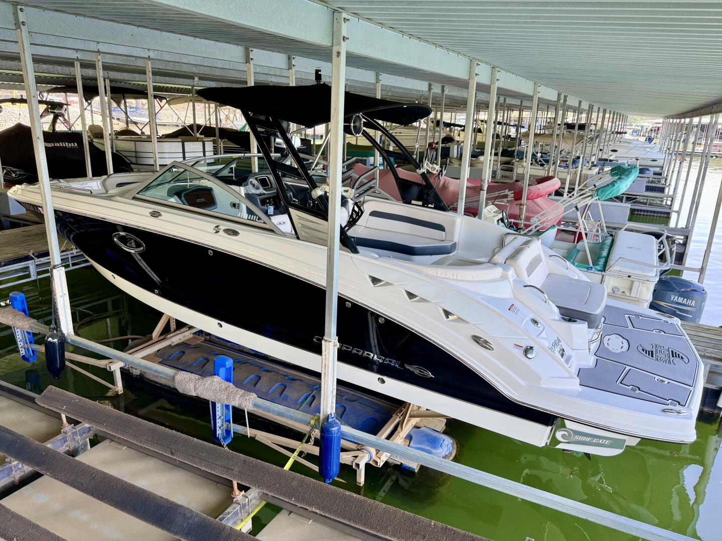Slide: The Image of Chaparral 264 Sunesta Surf 2018 - 5255994