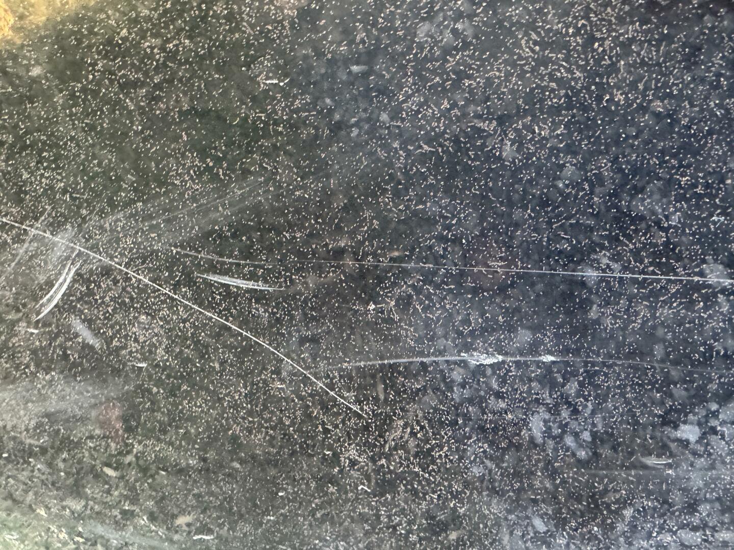 Slide: The Image of Chaparral Vortex 203 VRX Jet Boat 2017 - 4924198