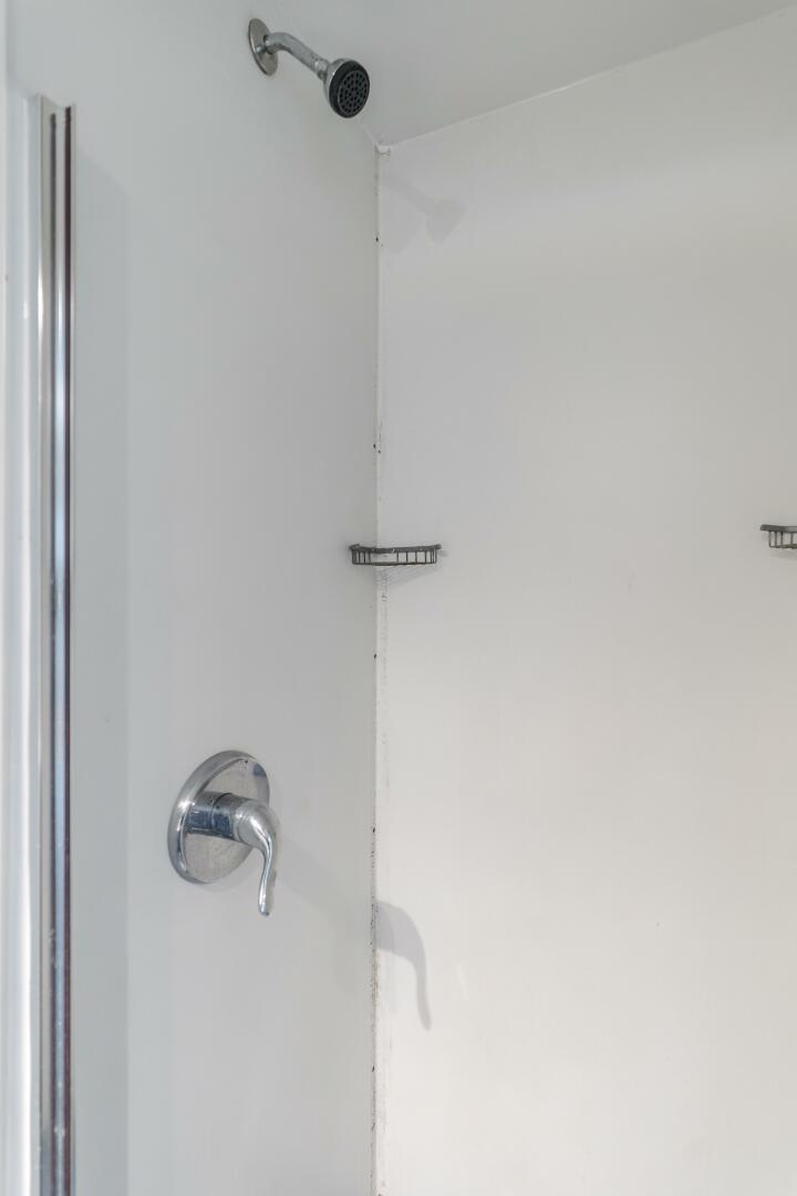 Slide: The Image of Enhydra Shower - 4049397