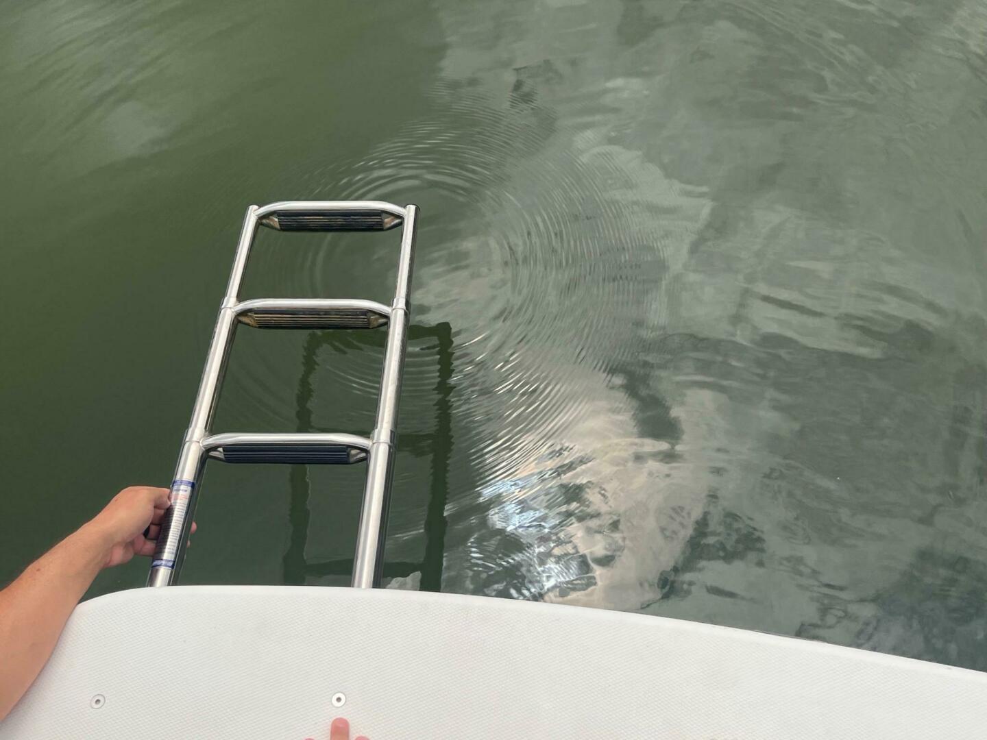 Slide: The Image of Chris-Craft 26 Crown 1998 - 4808565