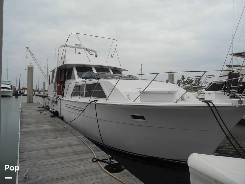 Slide: The Image of Chris-Craft Constellation 50 1985 - 15103471