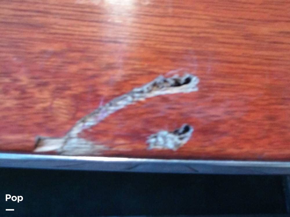 Slide: The Image of Scratch (detail 1 Inch) - 14762345