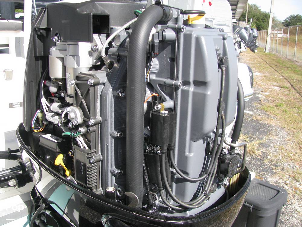 Slide: The Image of Clearwater 1900 CC 2021 - 15105144