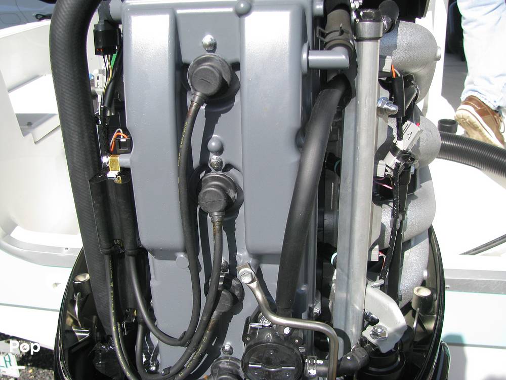 Slide: The Image of Clearwater 1900 CC 2021 - 15105145
