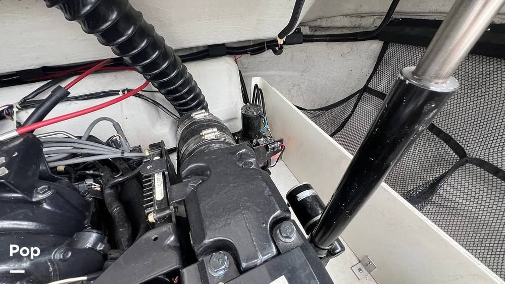 Slide: The Image of Cobalt 232 1998 - 15315546