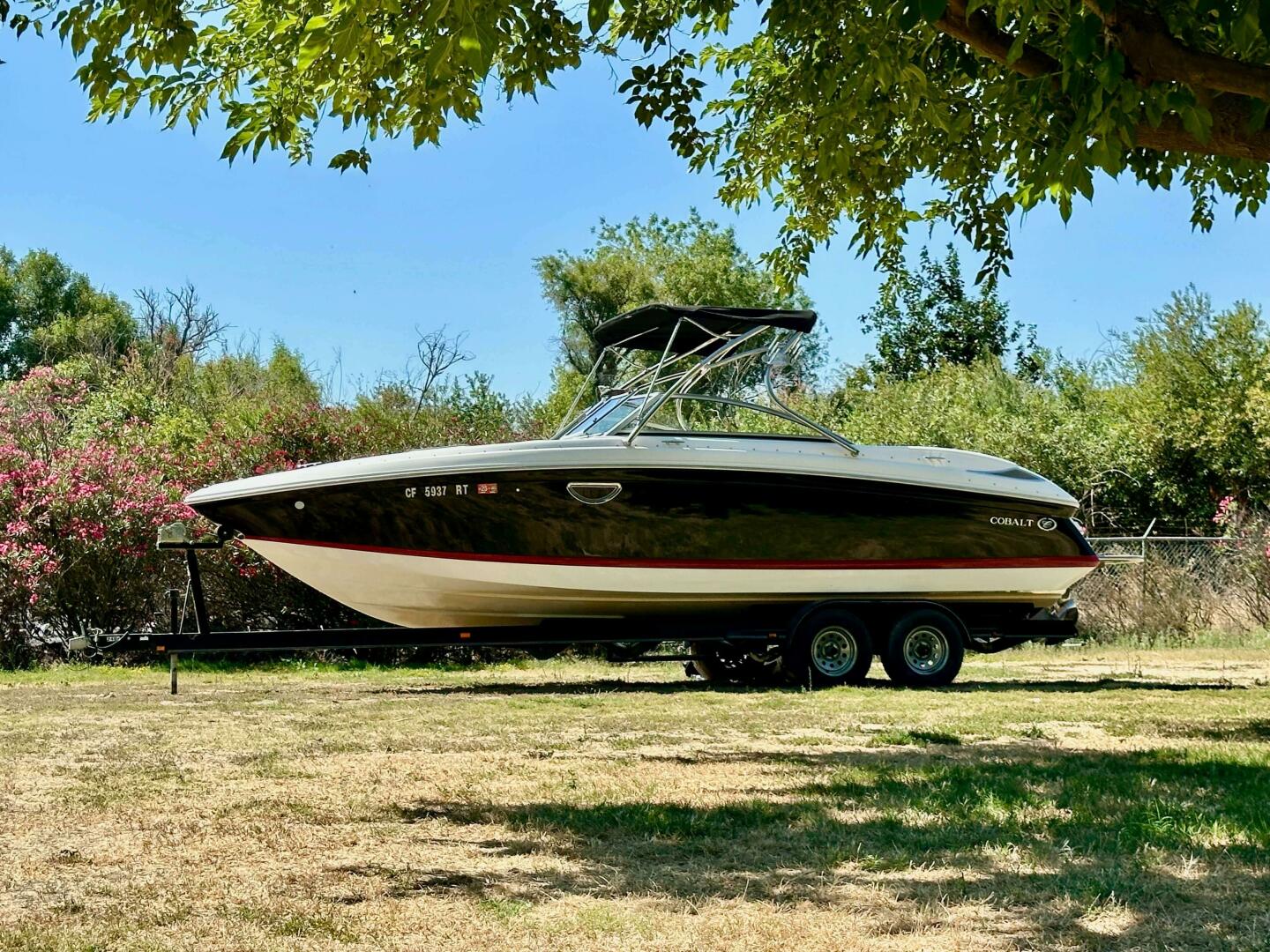 Slide: The Image of Cobalt 262 2010 - 5481447