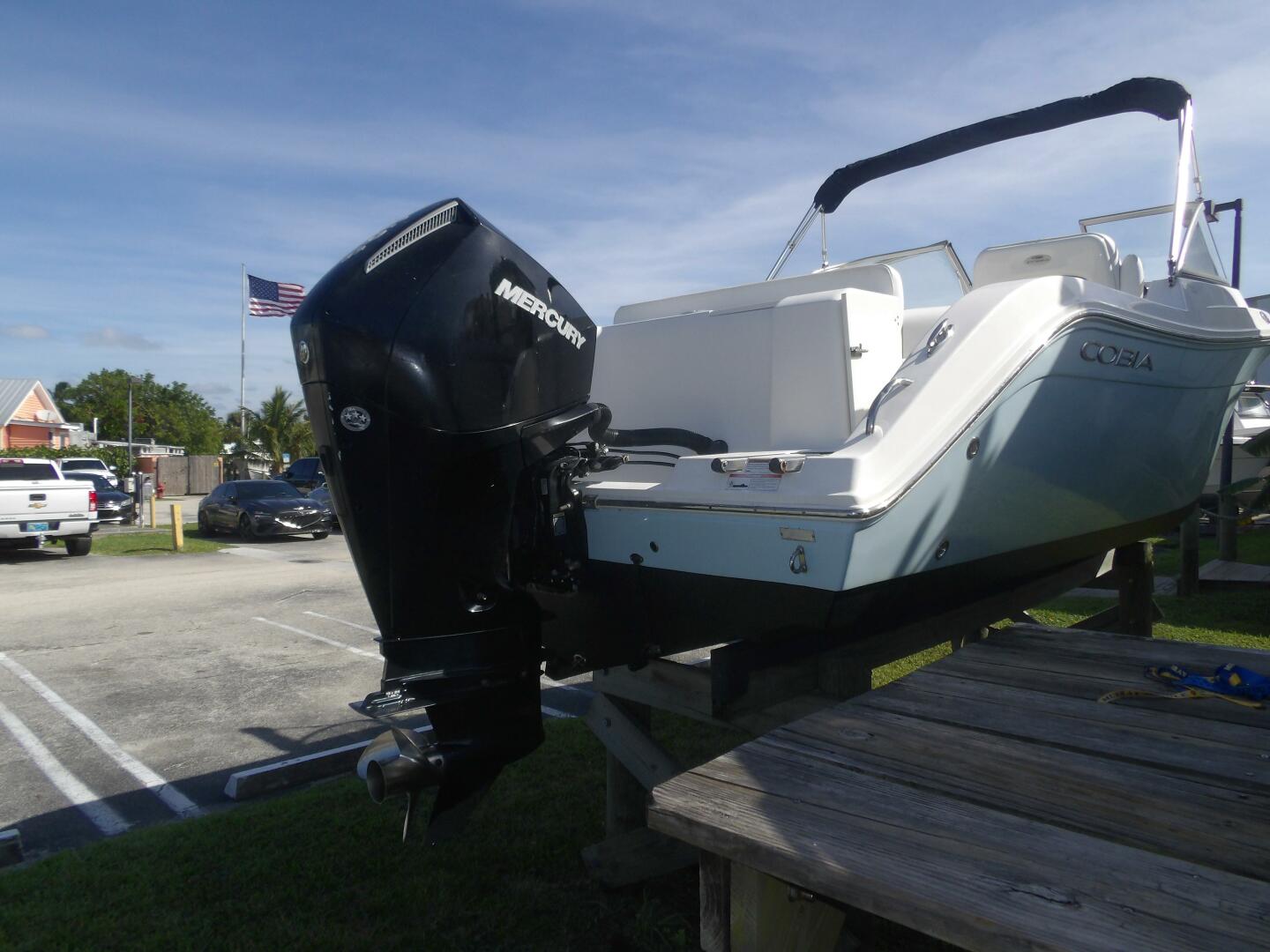 Slide: The Image of Cobia 21 2021 - 4924571