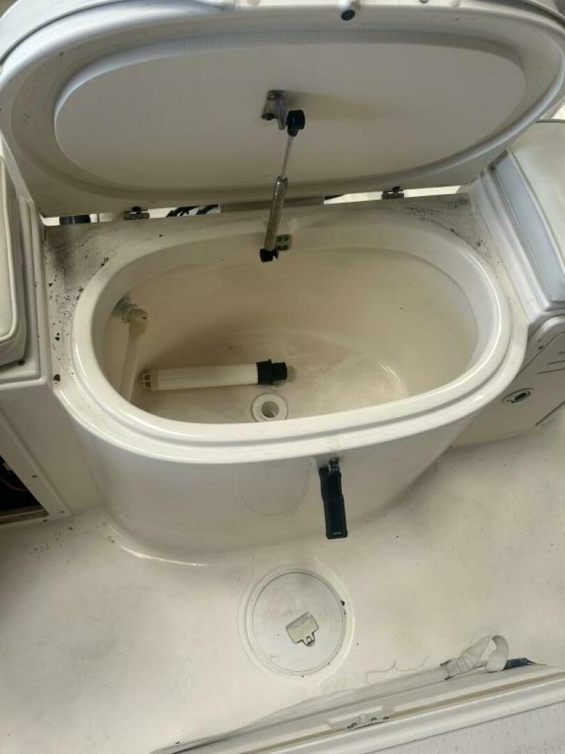 Slide: The Image of Cobia 214 2004 - 5261520