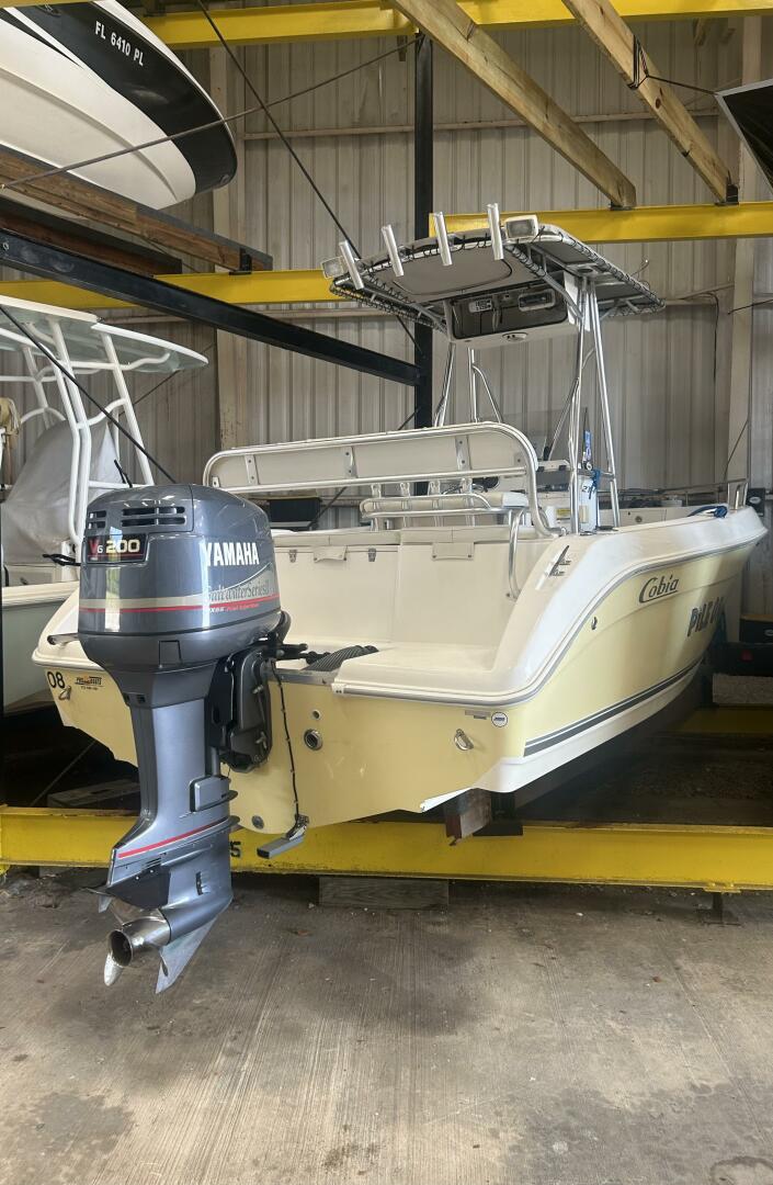 Slide: The Image of Cobia 214 2004 - 5261522