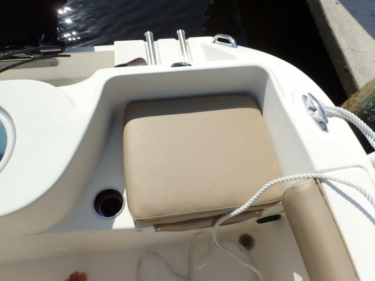 Slide: The Image of Cobia 217CC 2016 - 4238585