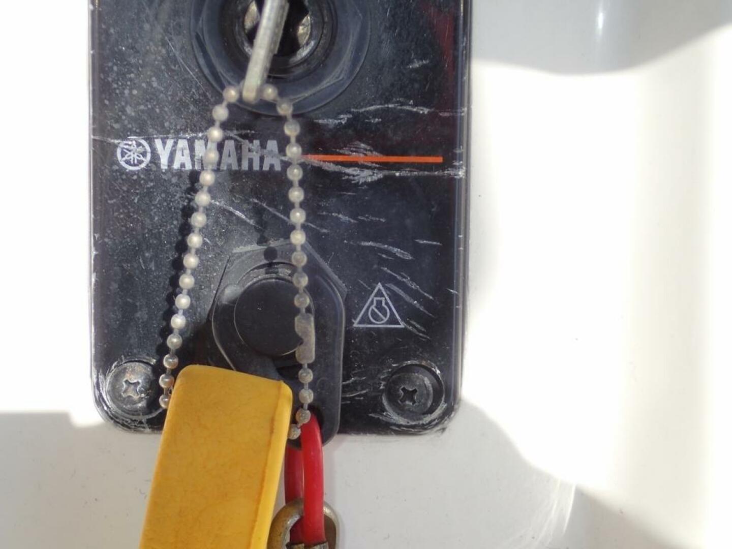 Slide: The Image of Cobia 217CC 2016 - 4238581