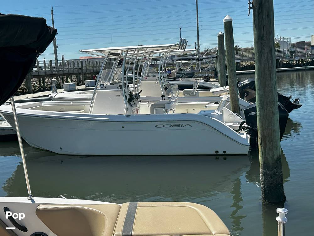 Slide: The Image of Cobia 220 CC 2021 - 15299177