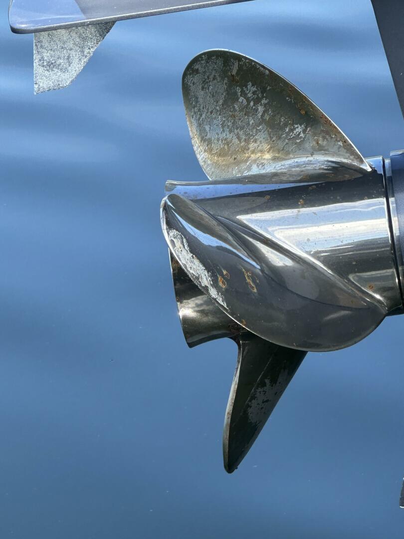 Slide: The Image of Cobia 220 CC 2023 - 4684325