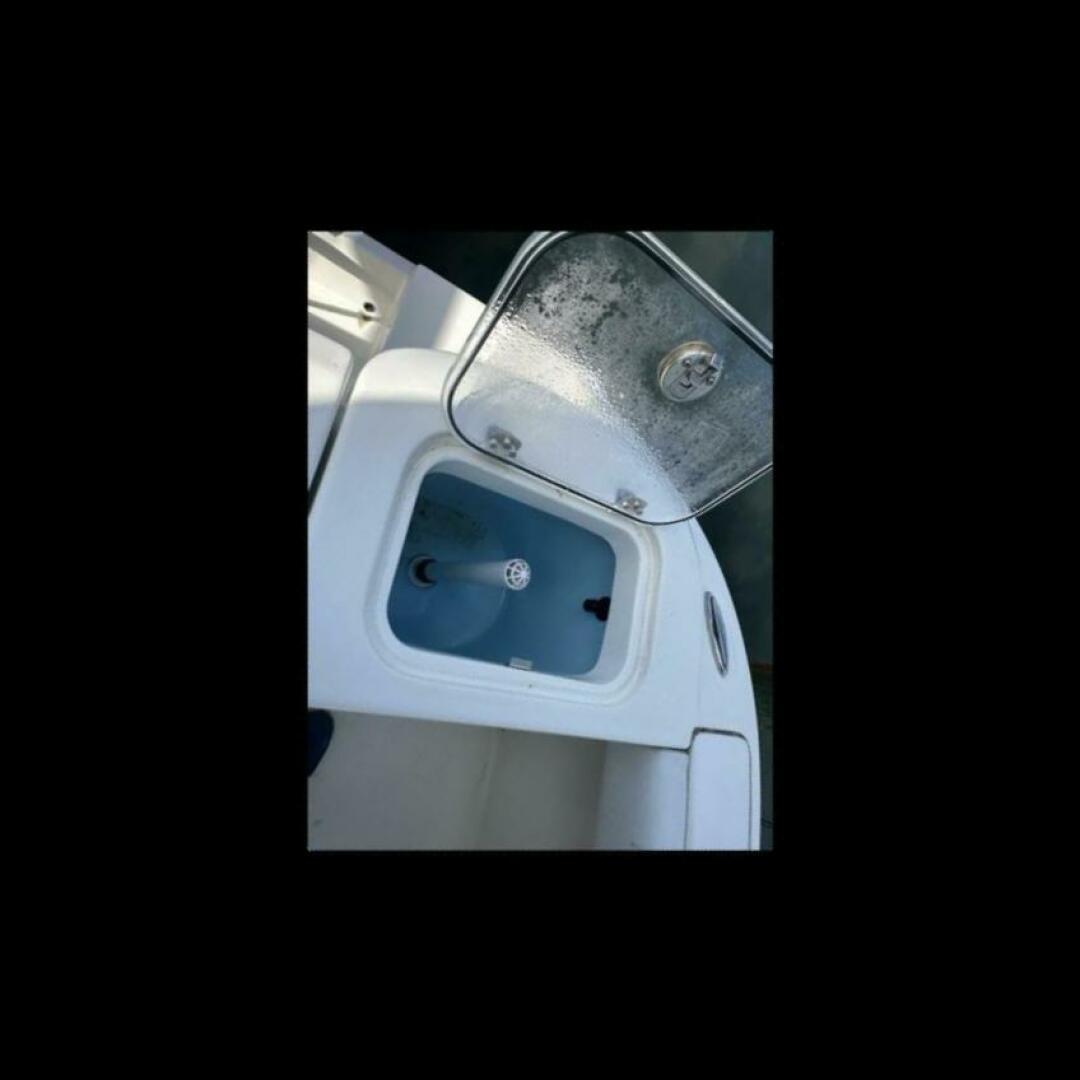 Slide: The Image of Cobia 220 CC 2023 - 4684472