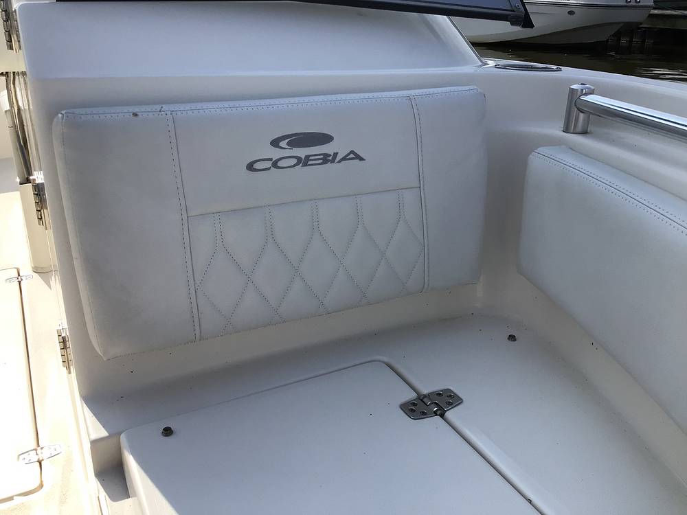 Slide: The Image of Cobia 220 DC 2021 - 14643817