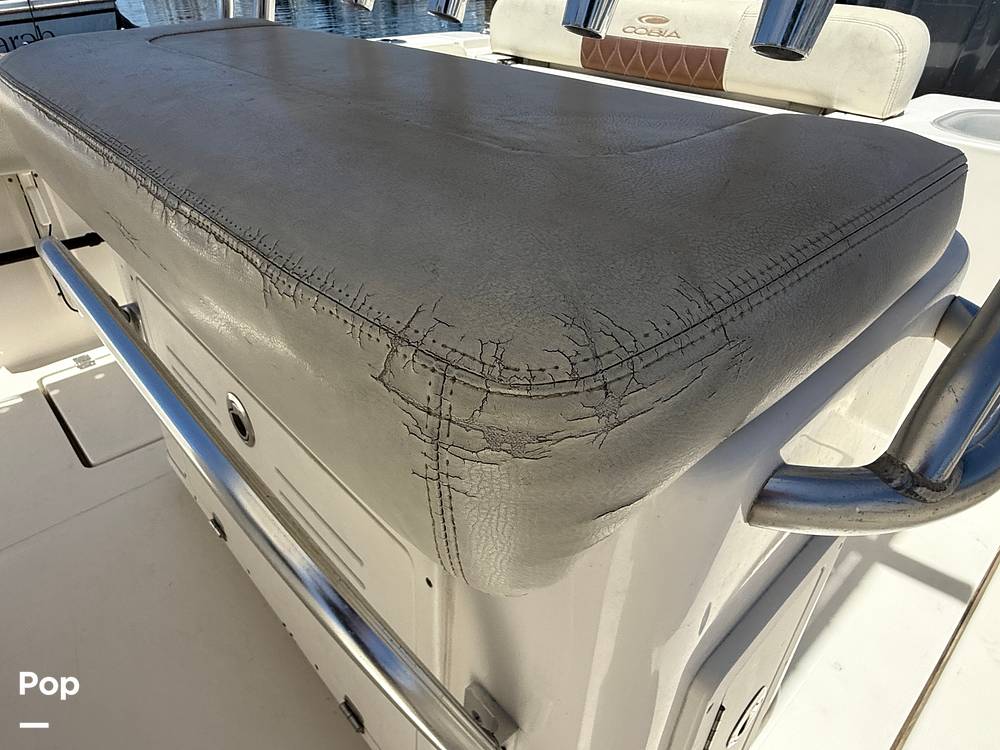 Slide: The Image of Cobia 237 2022 - 15699680