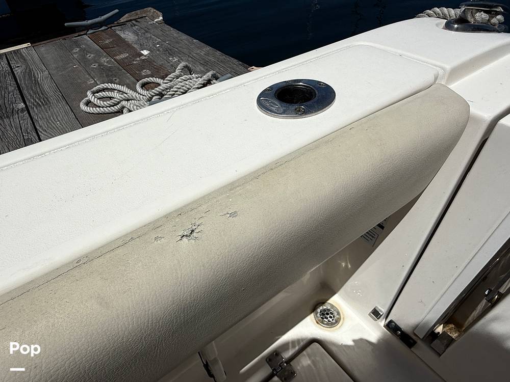 Slide: The Image of Cobia 237 2022 - 15699681